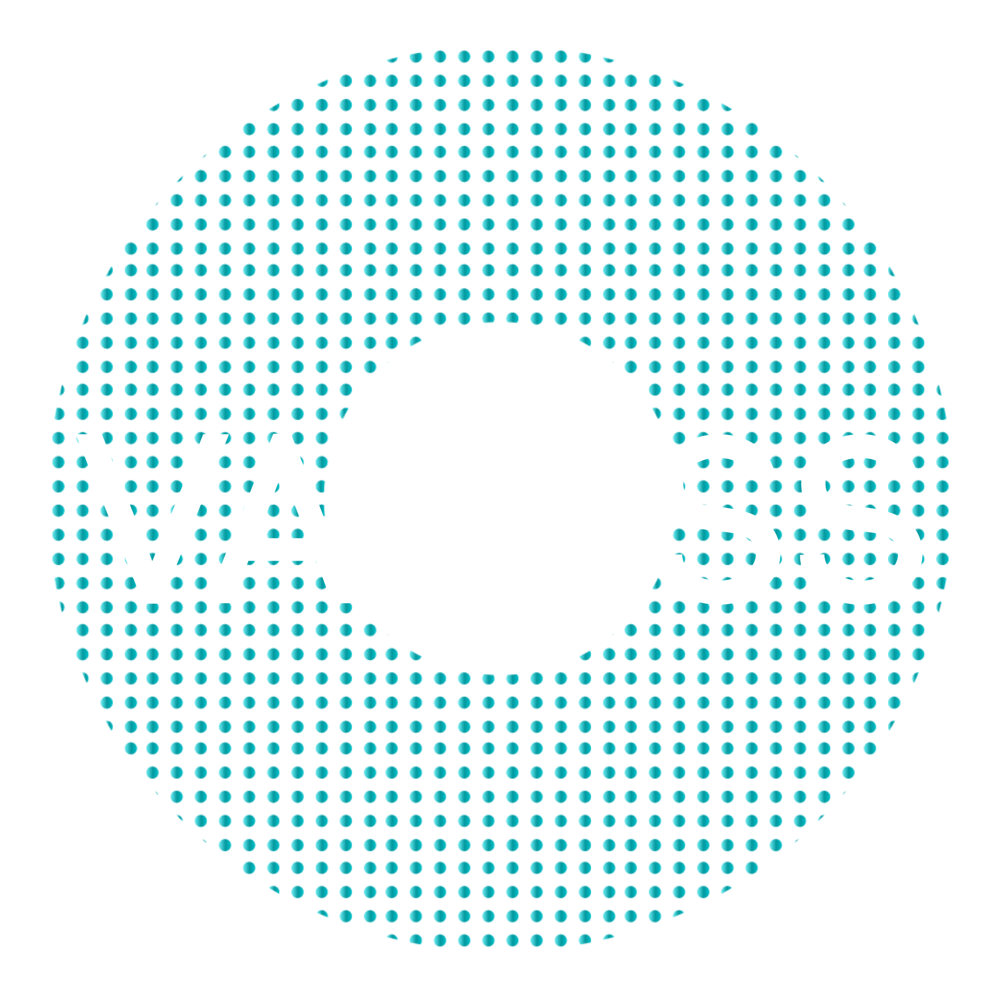 Logo Vaxess
